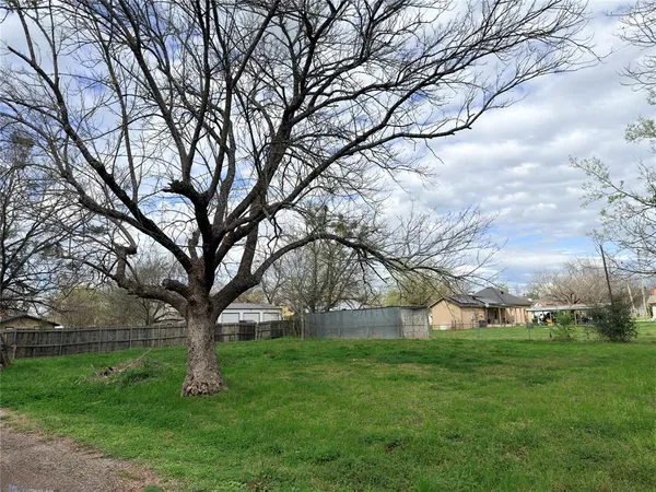a huge green field with lots of trees
