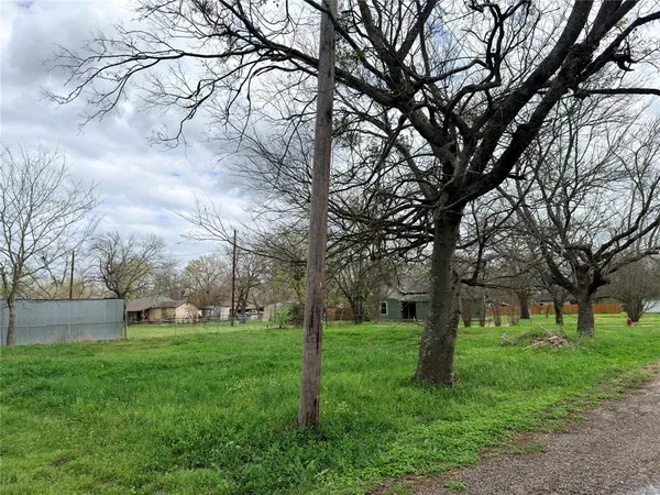 a huge green field with lots of trees