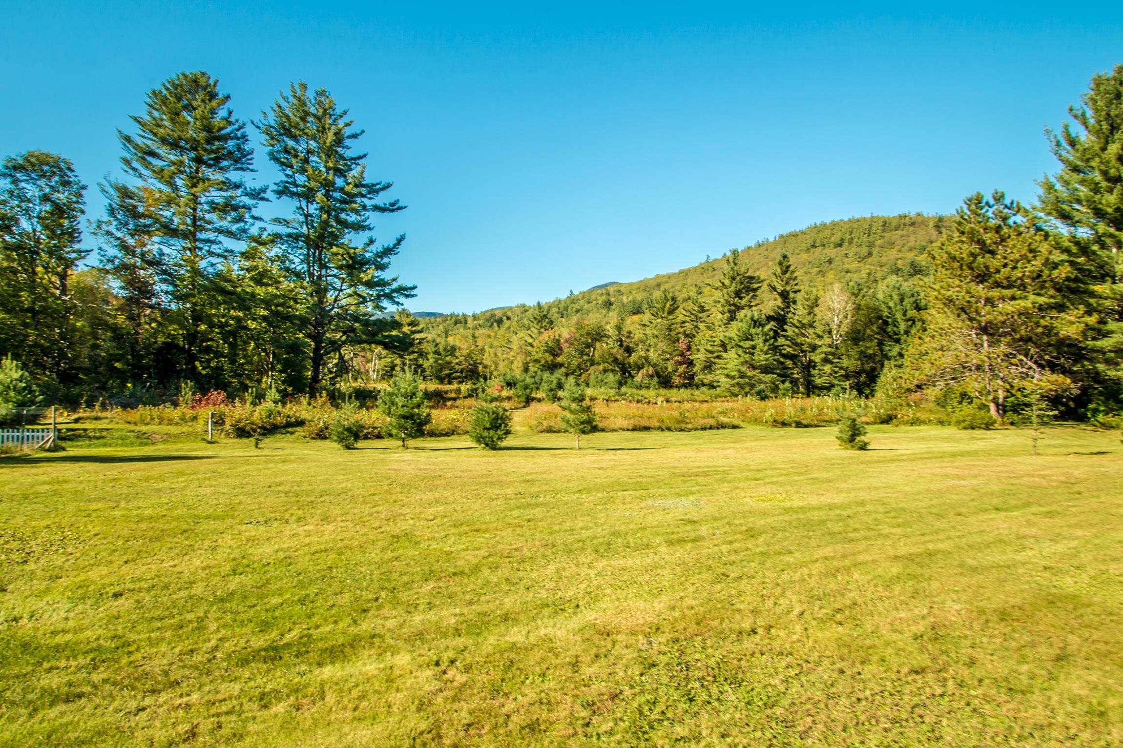 102 Cobb Farm Road Bartlett, NH 03812 - Photo 2 of 35