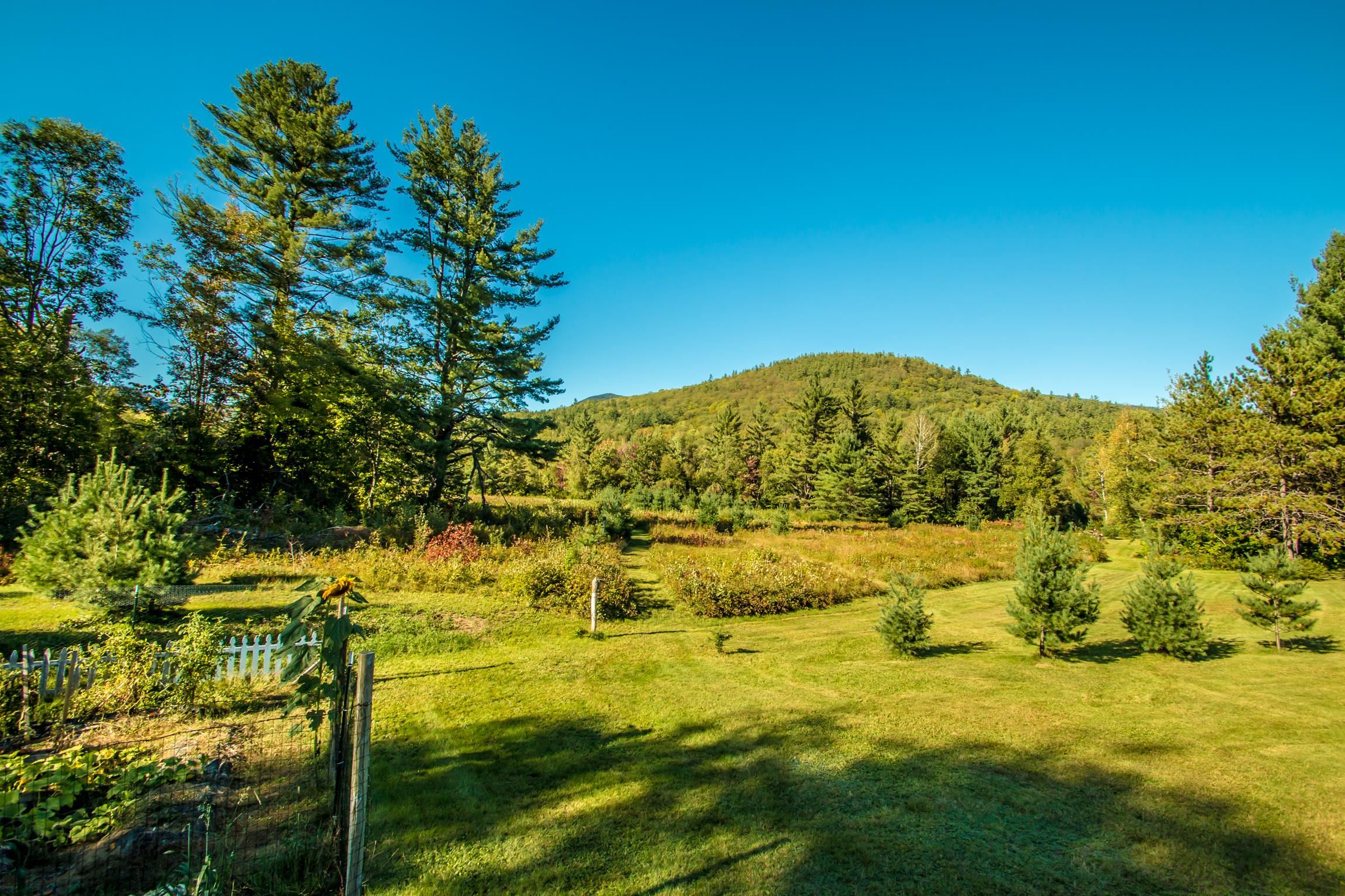 102 Cobb Farm Road Bartlett, NH 03812 - Photo 35 of 35