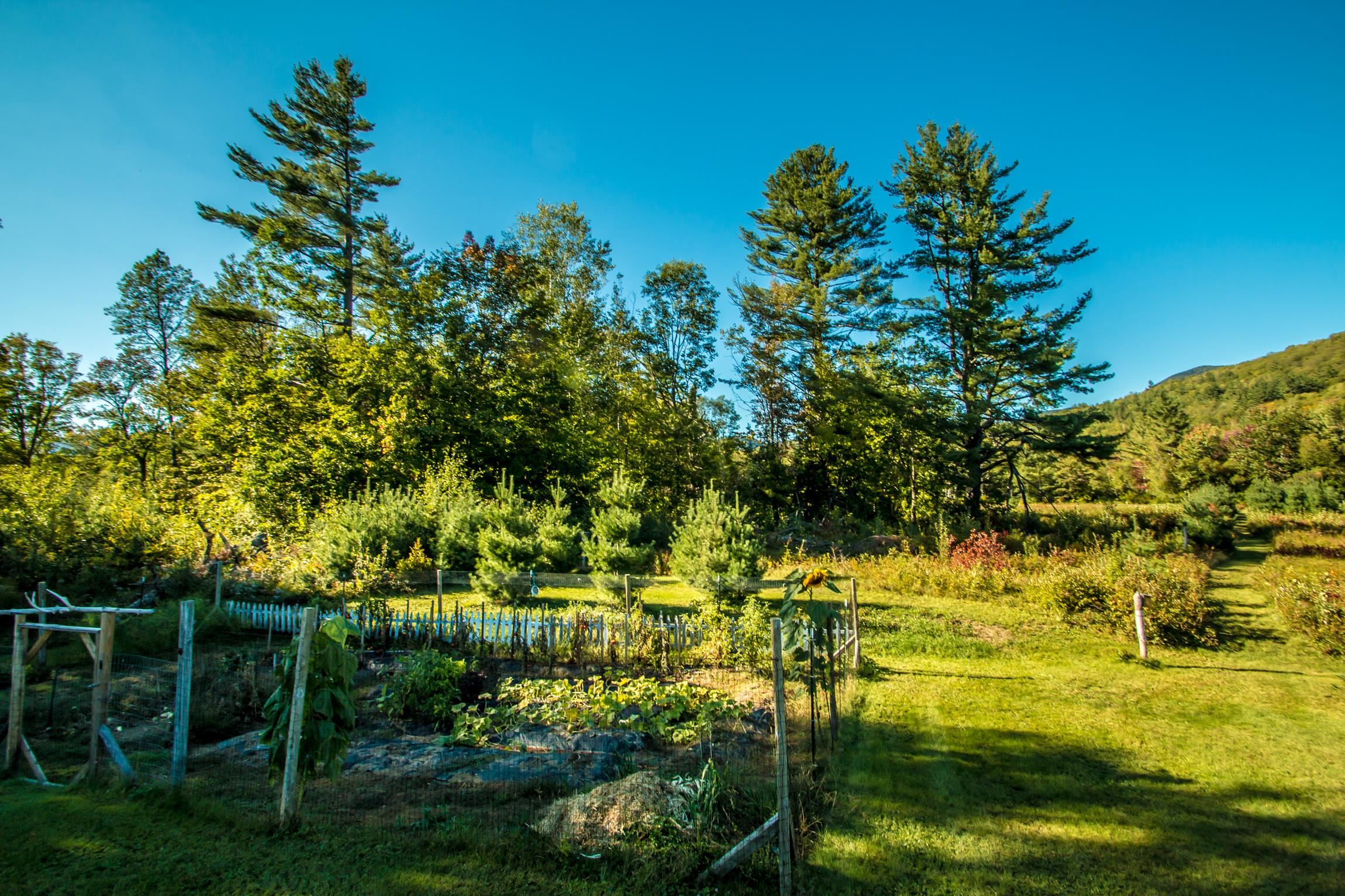 102 Cobb Farm Road Bartlett, NH 03812 - Photo 6 of 35