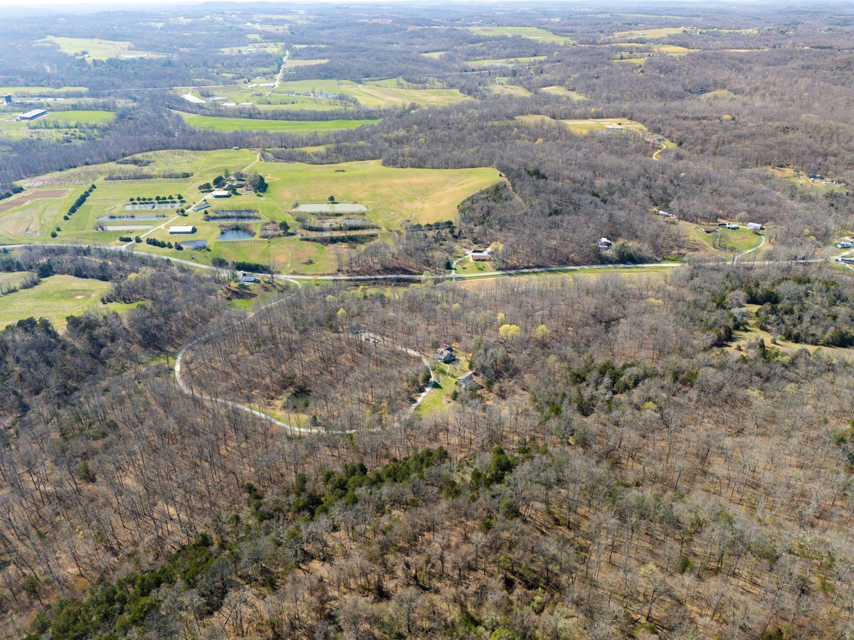526 Shiloh Road Cobden, IL 62920 - Photo 56 of 59 a view of a yellow house with a yard