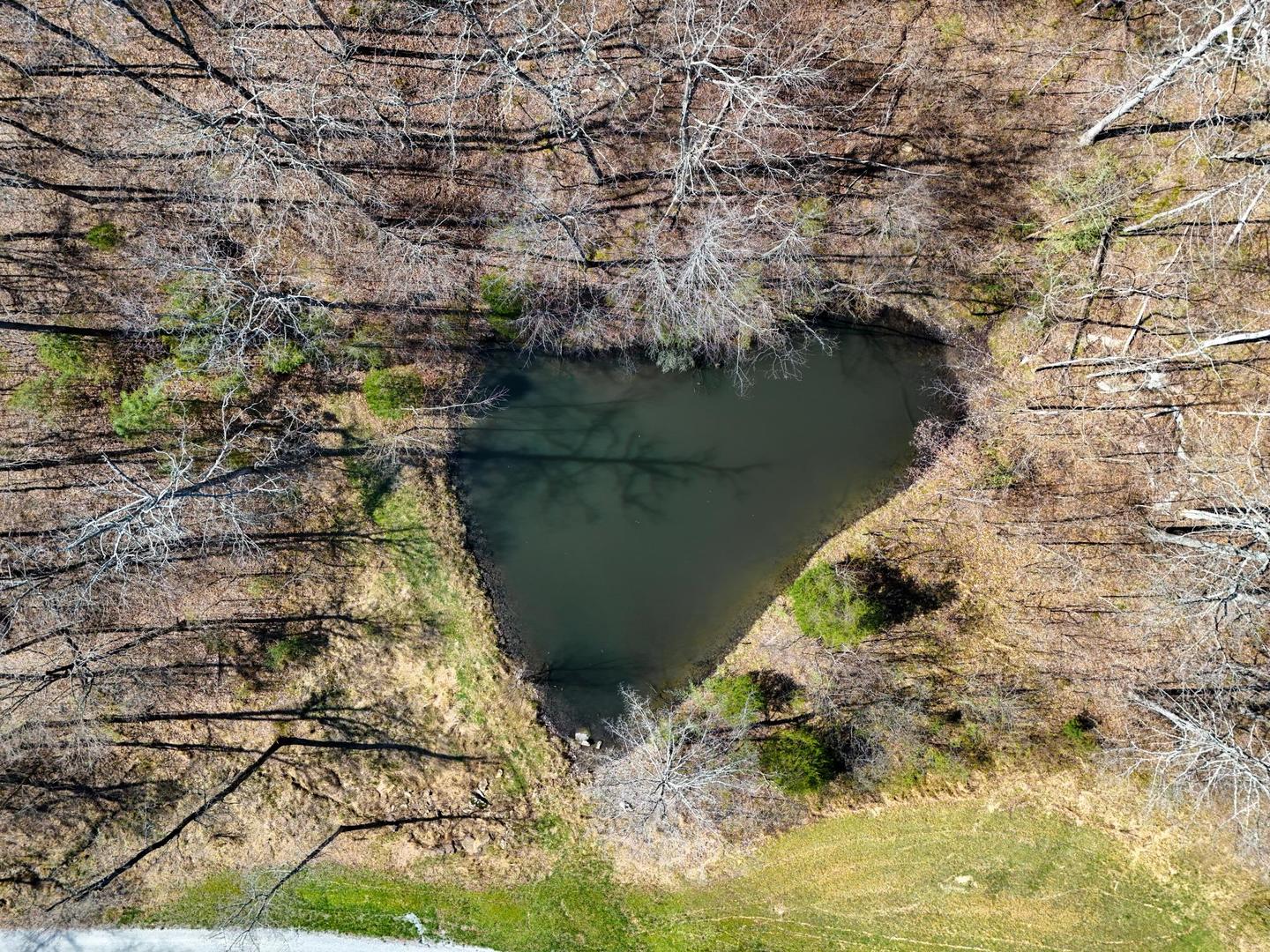 526 Shiloh Road Cobden, IL 62920 - Photo 57 of 59 a view of lake