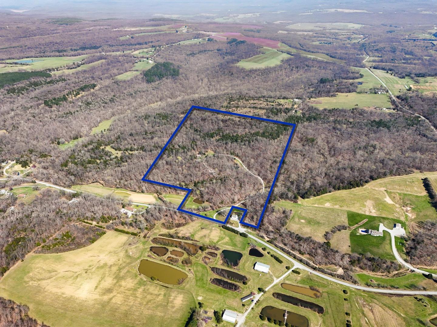 526 Shiloh Road Cobden, IL 62920 - Photo 59 of 59