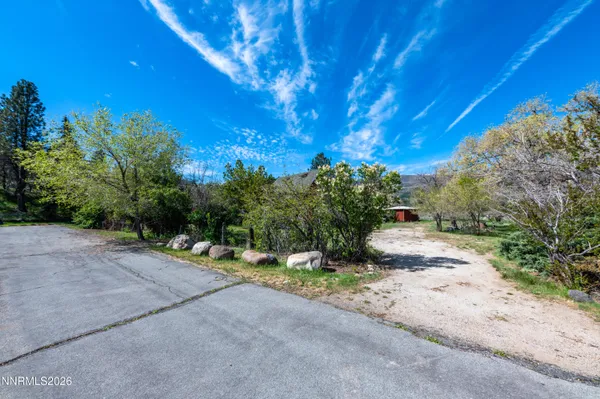 a backyard of a house with plants and large tree