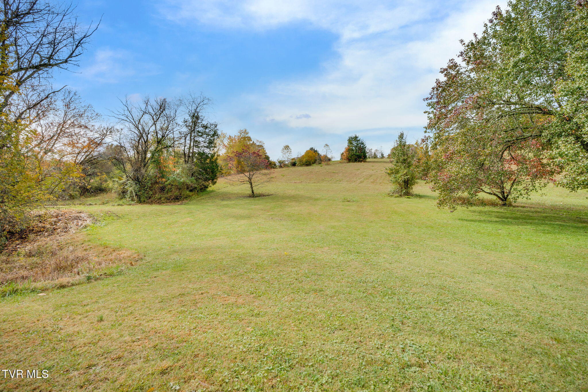 1566 Mill Creek Road, Unit 1 Fall Branch, TN 37656 - Photo 5 of 17 003
