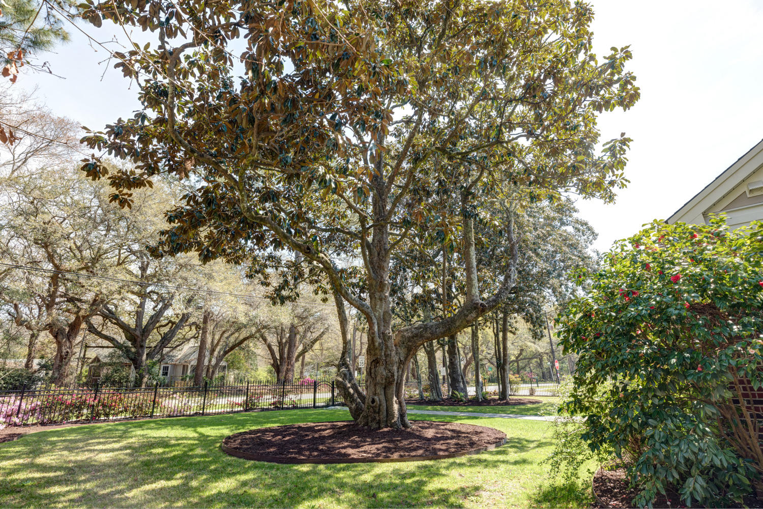 403 Wappoo Road Charleston, SC 29407 - Photo 20 of 45 VRCV41-21