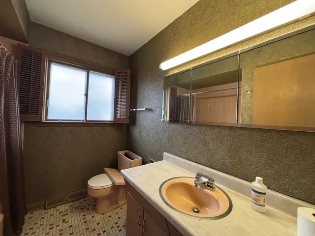 a bathroom with a sink a toilet and a mirror