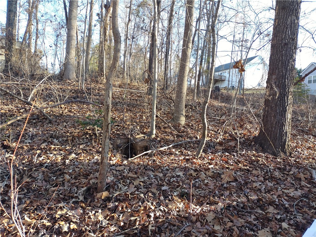 0 Sequayah Drive Fair Play, SC 29643 - Photo 4 of 4