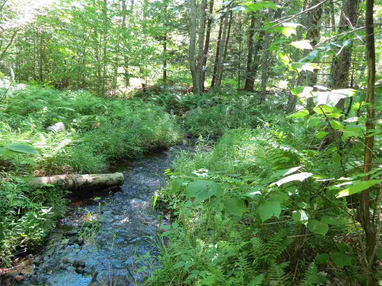 Old County Road Cavendish, VT 05142 - Photo 1 of 4