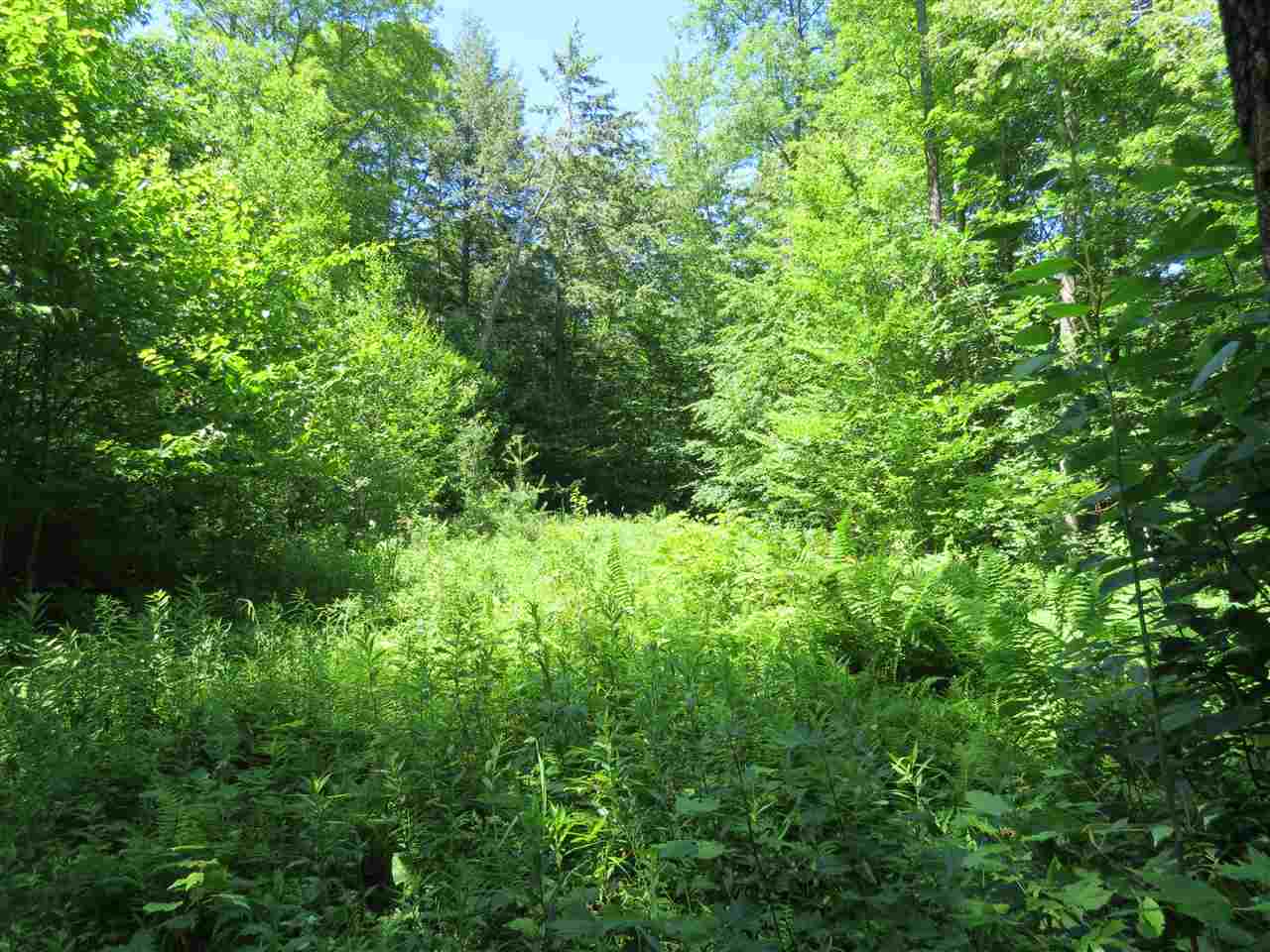 Old County Road Cavendish, VT 05142 - Photo 2 of 4