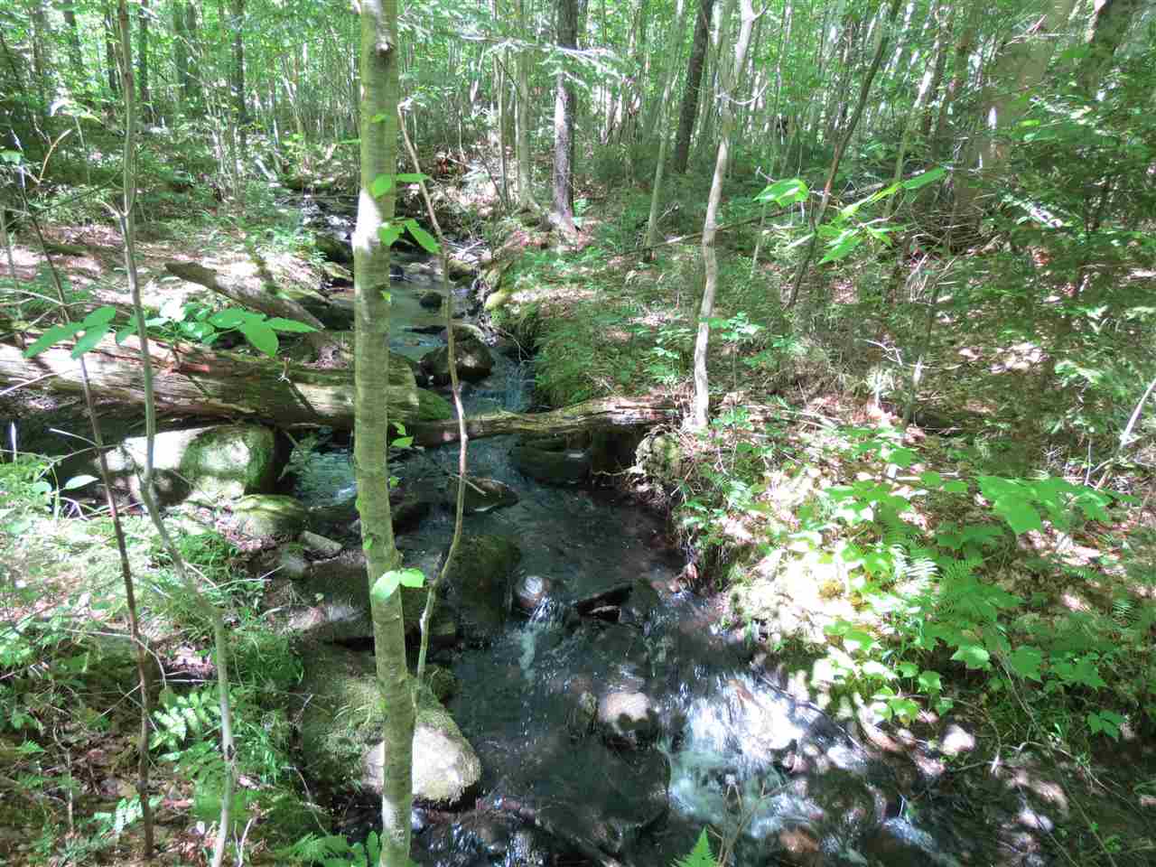 Old County Road Cavendish, VT 05142 - Photo 4 of 4