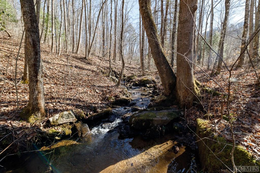 Lot 79 Pasture Road Maggie Valley, NC 28751 - Photo 4 of 15 Gallery Image 4