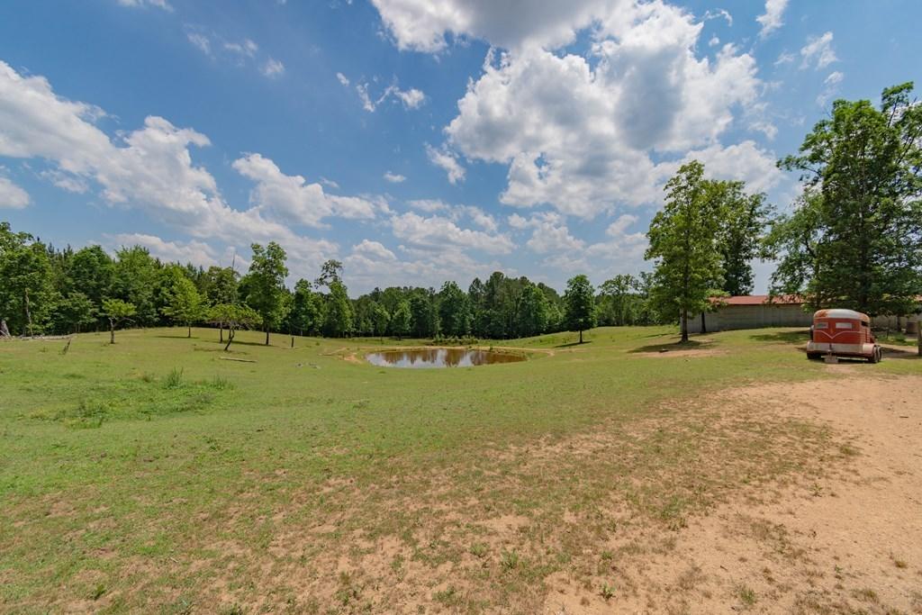 0 Brindle Road Resaca, GA 30735 - Photo 16 of 18 524