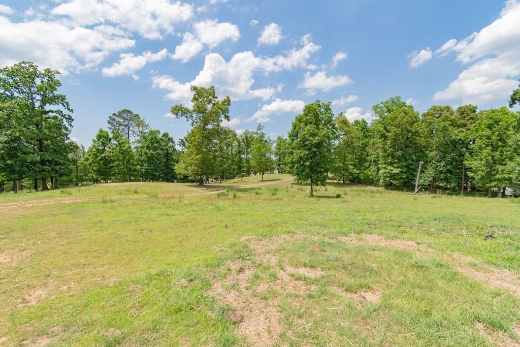 0 Brindle Road Resaca, GA 30735 - Photo 2 of 18 114495_22 (1)