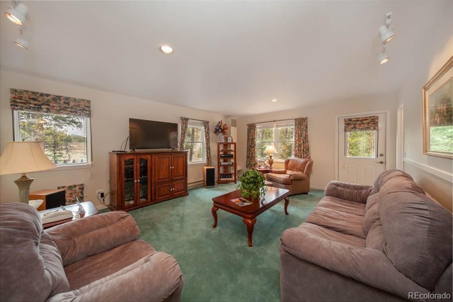 284 Pine Ridge Road Alma, CO 80420 - Photo 12 of 24 Gallery Image 12