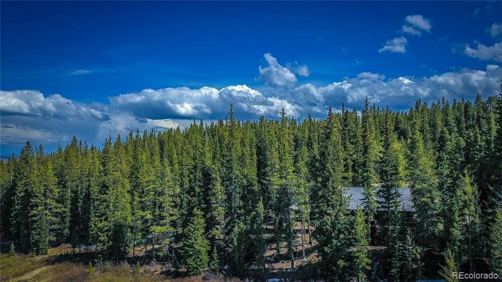 284 Pine Ridge Road Alma, CO 80420 - Photo 17 of 24 Gallery Image 17