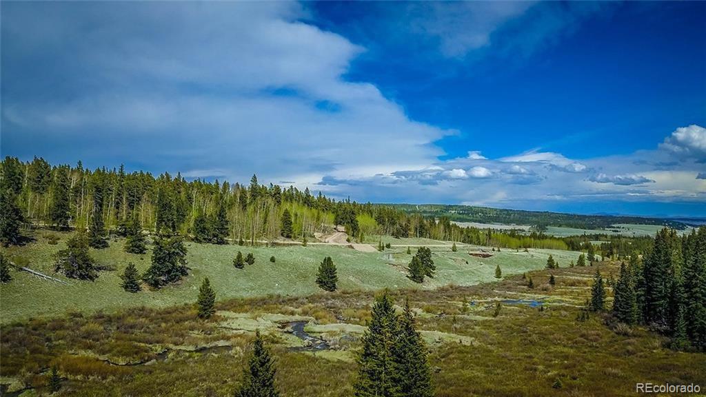 284 Pine Ridge Road Alma, CO 80420 - Photo 18 of 24 Gallery Image 18