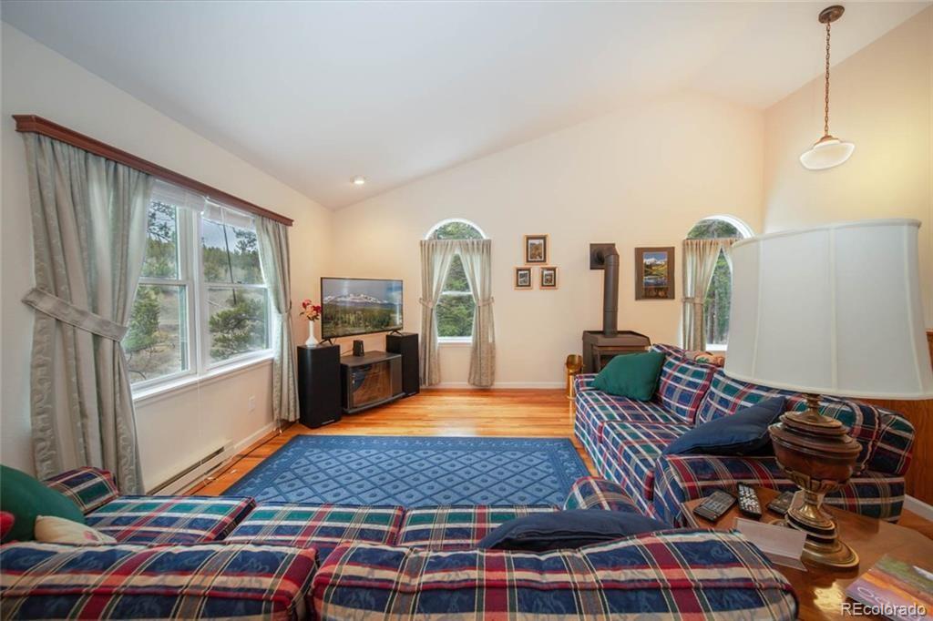 284 Pine Ridge Road Alma, CO 80420 - Photo 2 of 24 Gallery Image 2