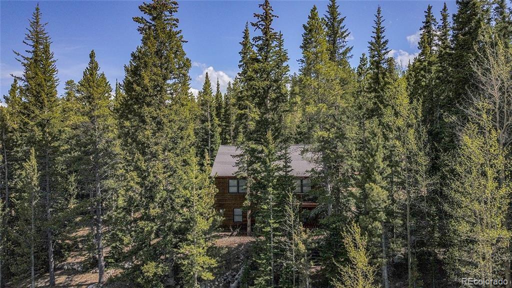 284 Pine Ridge Road Alma, CO 80420 - Photo 24 of 24 Gallery Image 24