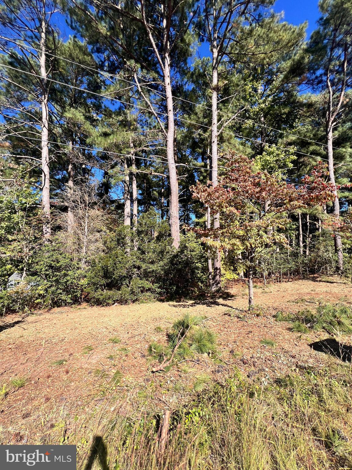 South Glebe Road Montross, VA 22520 - Photo 2 of 7