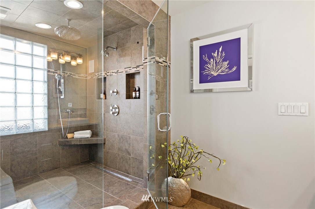 423 Ward Street Seattle, WA 98109 - Photo 23 of 39 a bathroom with a potted plant next to a shower