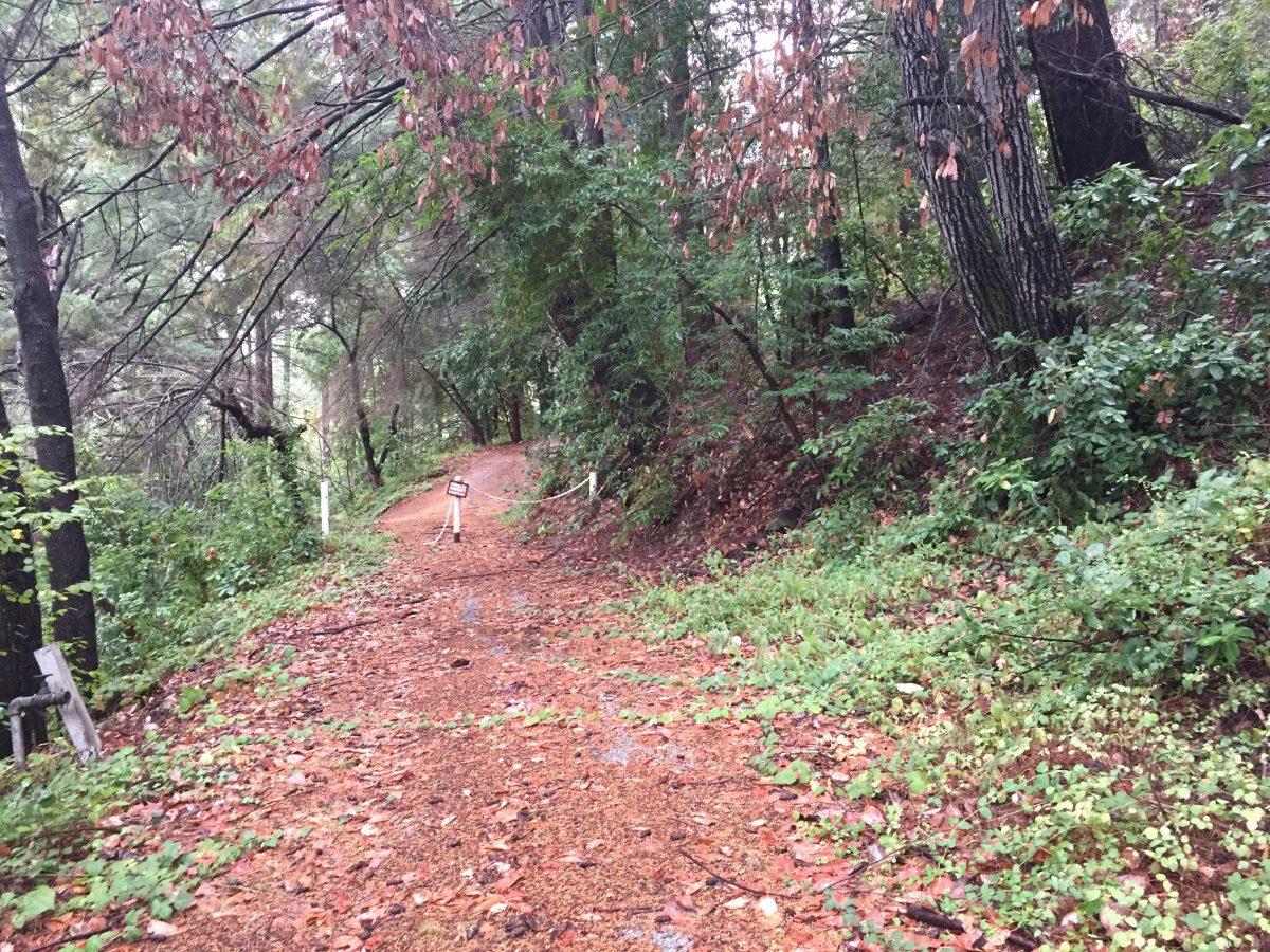 0 Roberts Road Ben Lomond, CA 95005 - Photo 2 of 4 a backyard of a house with lots of green space