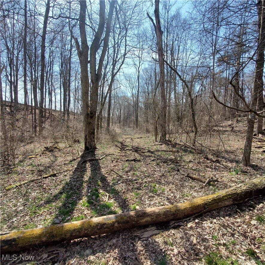 2229 Reeds Run Road Whipple, OH 45788 - Photo 27 of 28 View of local wilderness