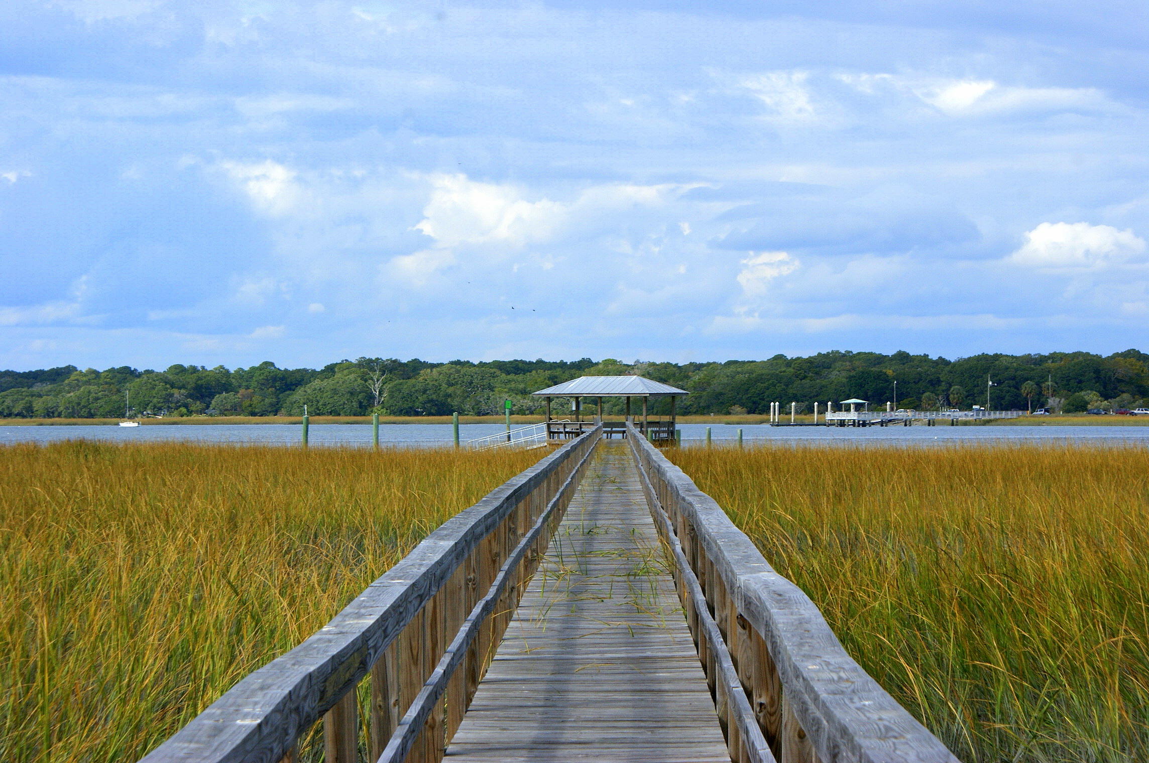 2727 Jenkins Point Road Seabrook Island, SC 29455 - Photo 4 of 60 Picture 001