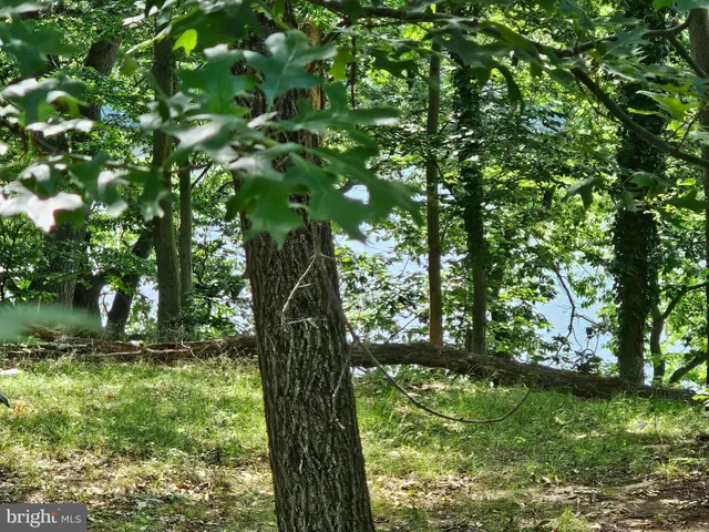 a view of outdoor space with a lake view