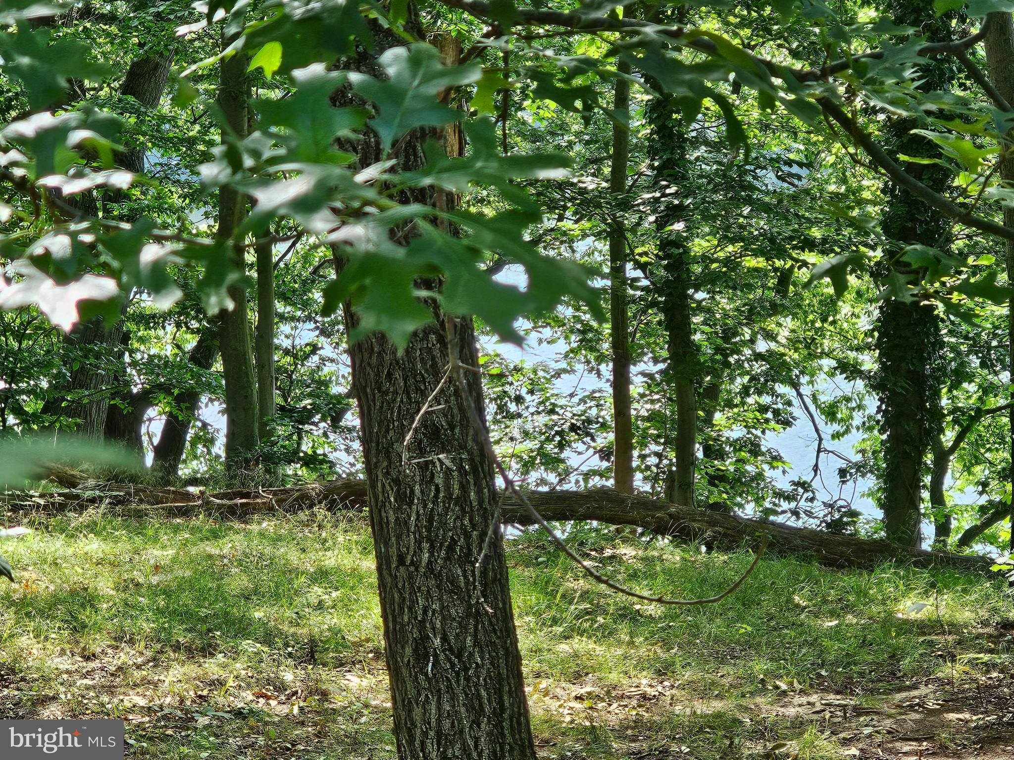 59 A Yutan Lane, Unit GLEN 6 Earleville, MD 21919 - Photo 2 of 8 a view of outdoor space with a lake view