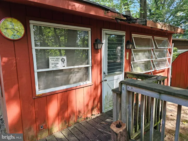 a view of a forest with lots of trees