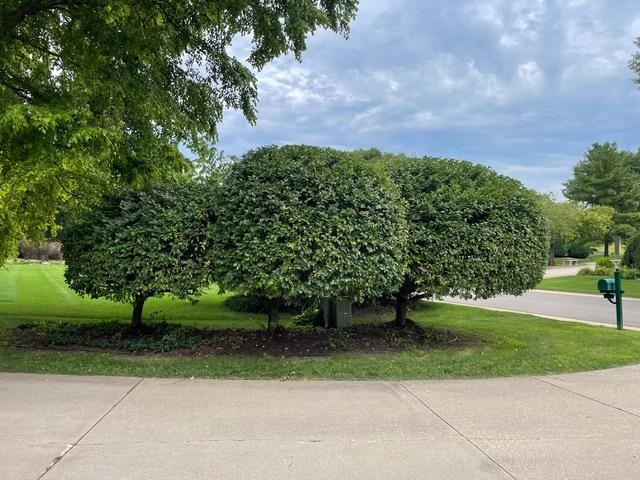 4606 Signature Drive Middleton, WI 53562 - Photo 91 of 95