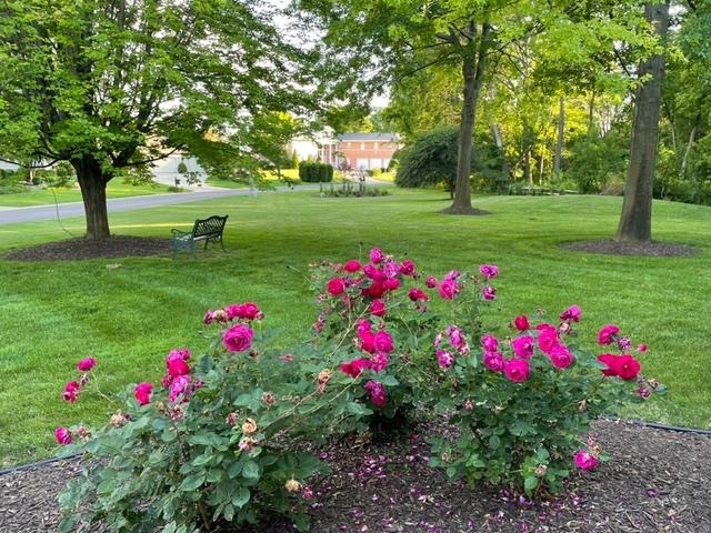 4606 Signature Drive Middleton, WI 53562 - Photo 94 of 95