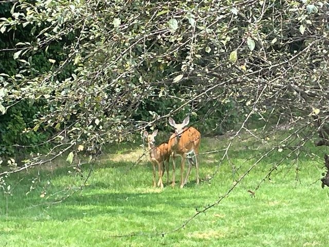 4606 Signature Drive Middleton, WI 53562 - Photo 95 of 95