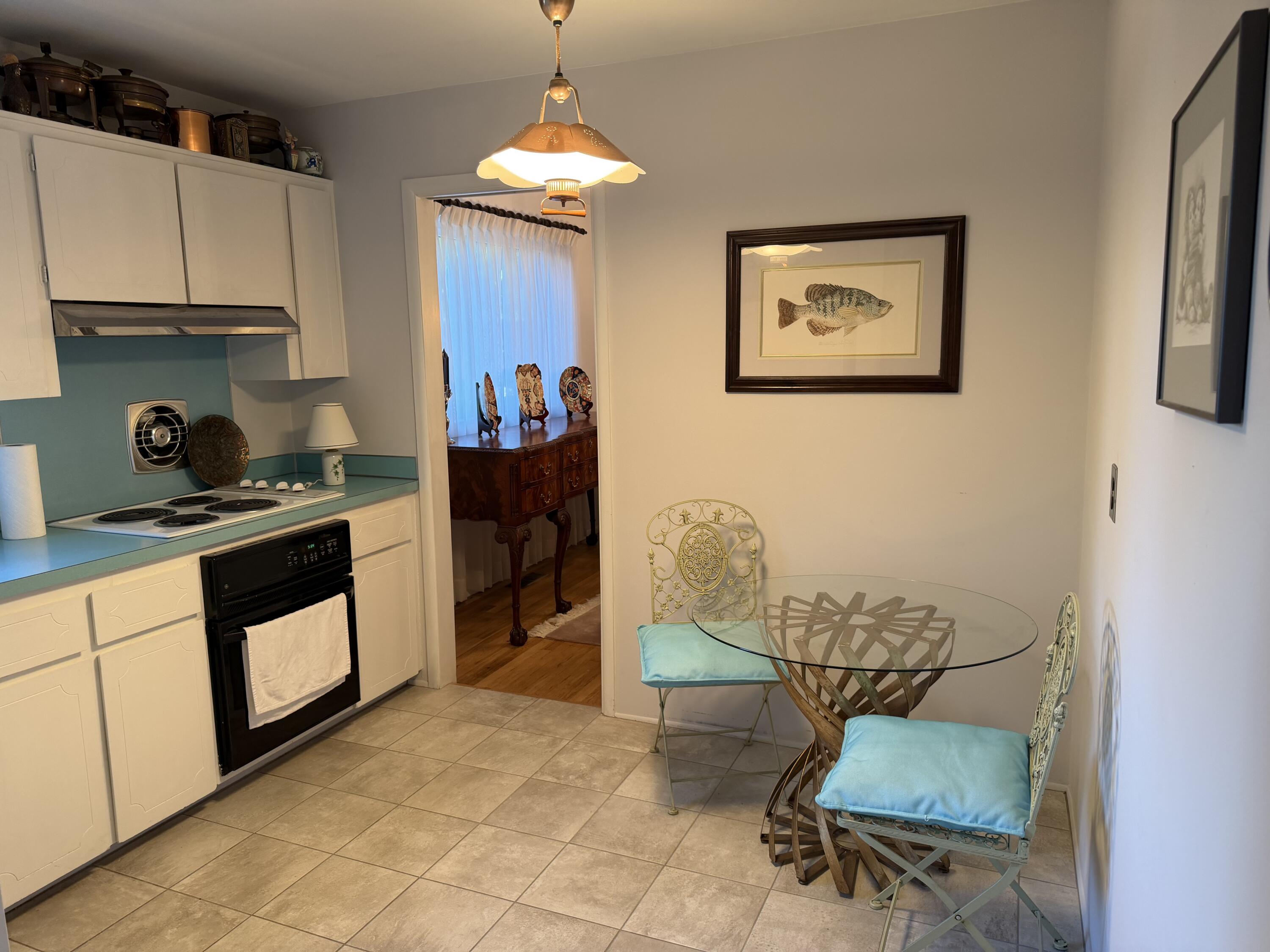 584 Reed Street Northville, MI 48167 - Photo 14 of 37 IMG_4020