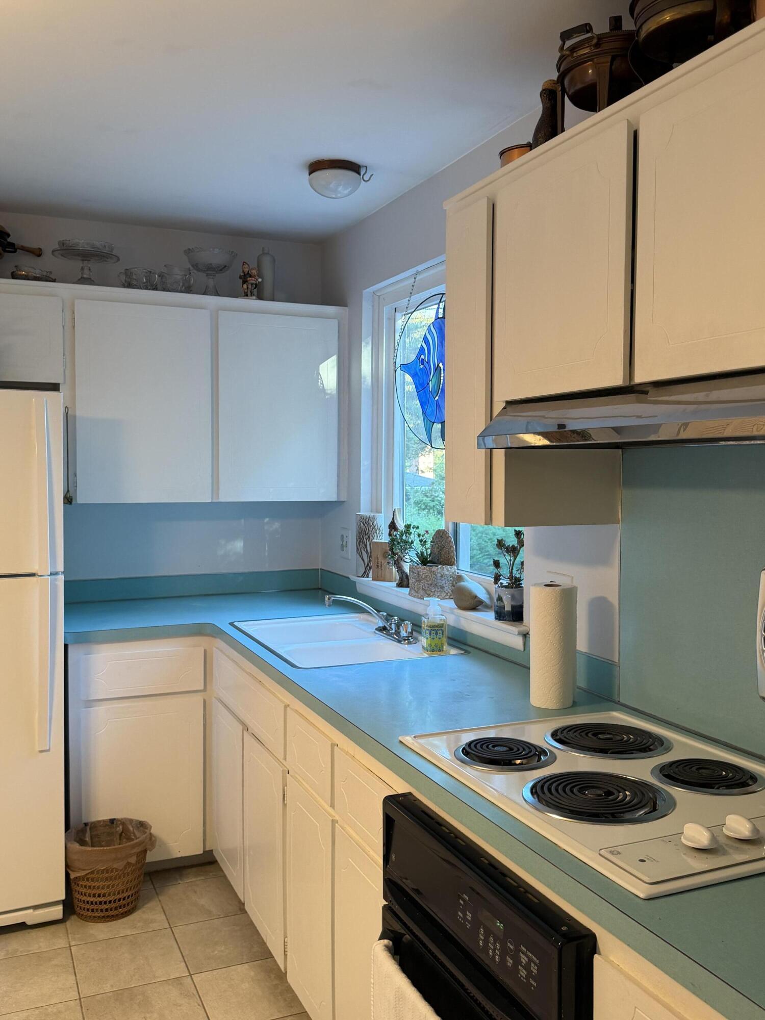 584 Reed Street Northville, MI 48167 - Photo 21 of 37 IMG_4006