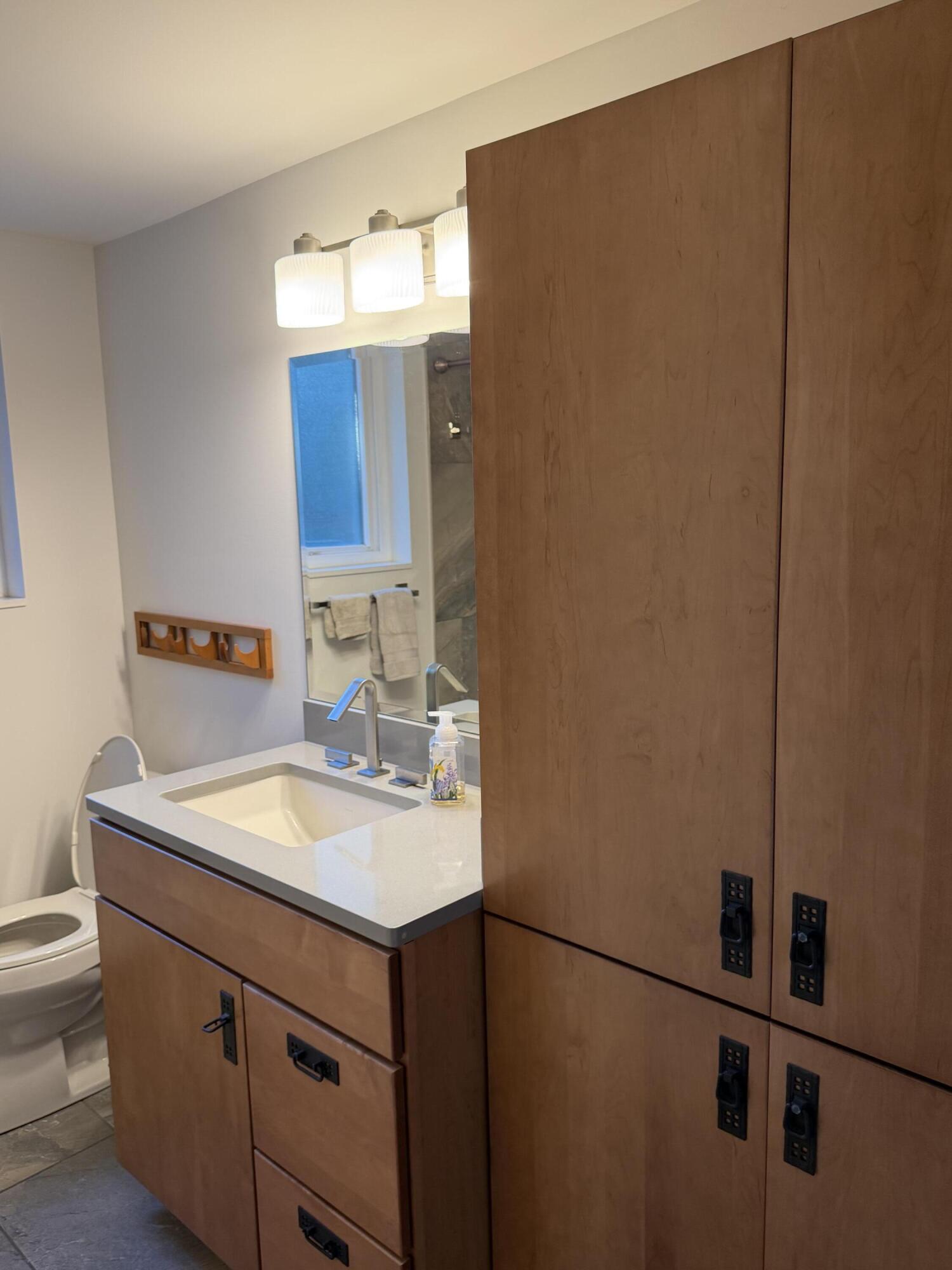 584 Reed Street Northville, MI 48167 - Photo 26 of 37 IMG_3993