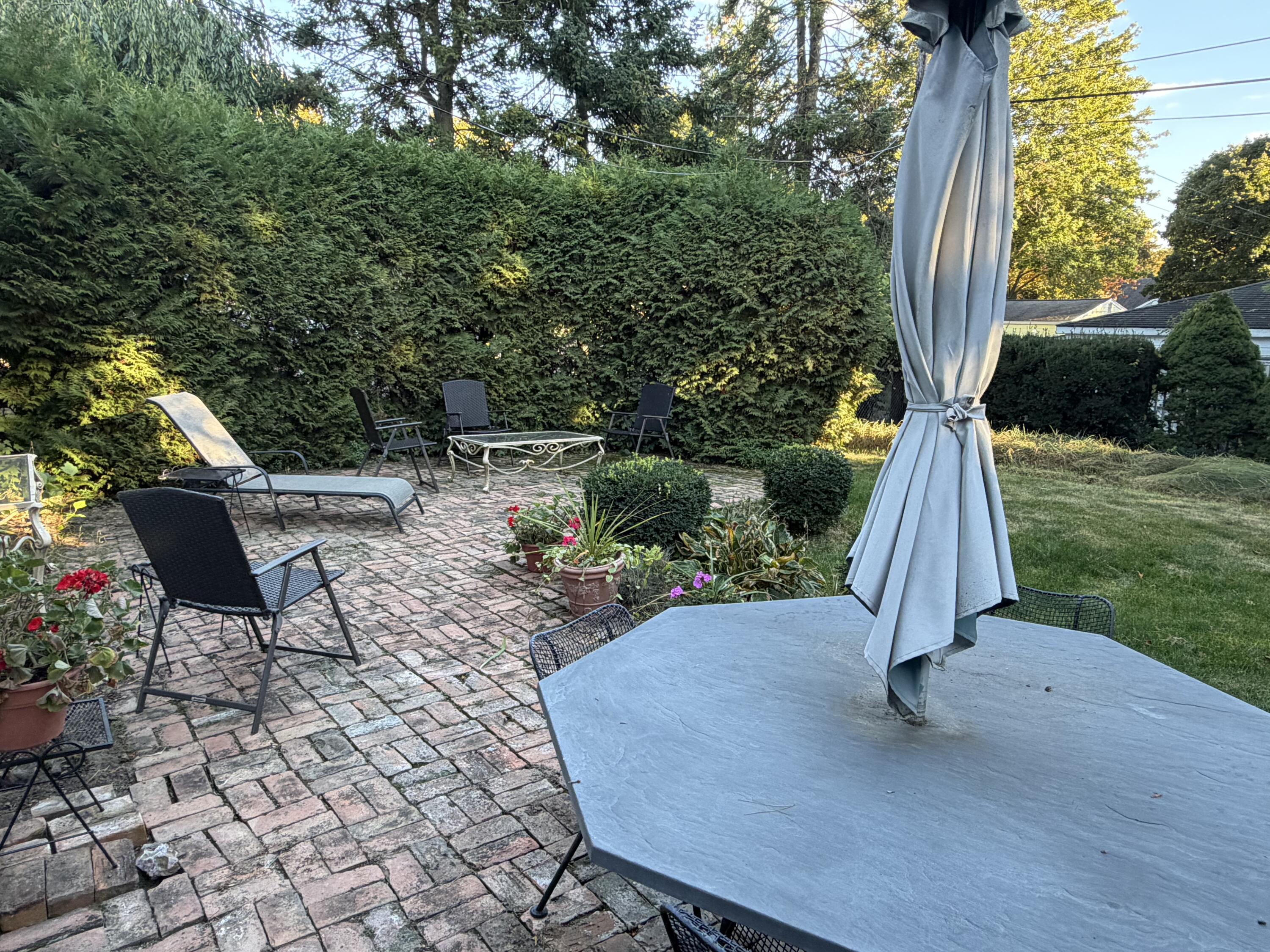 584 Reed Street Northville, MI 48167 - Photo 33 of 37 IMG_3981