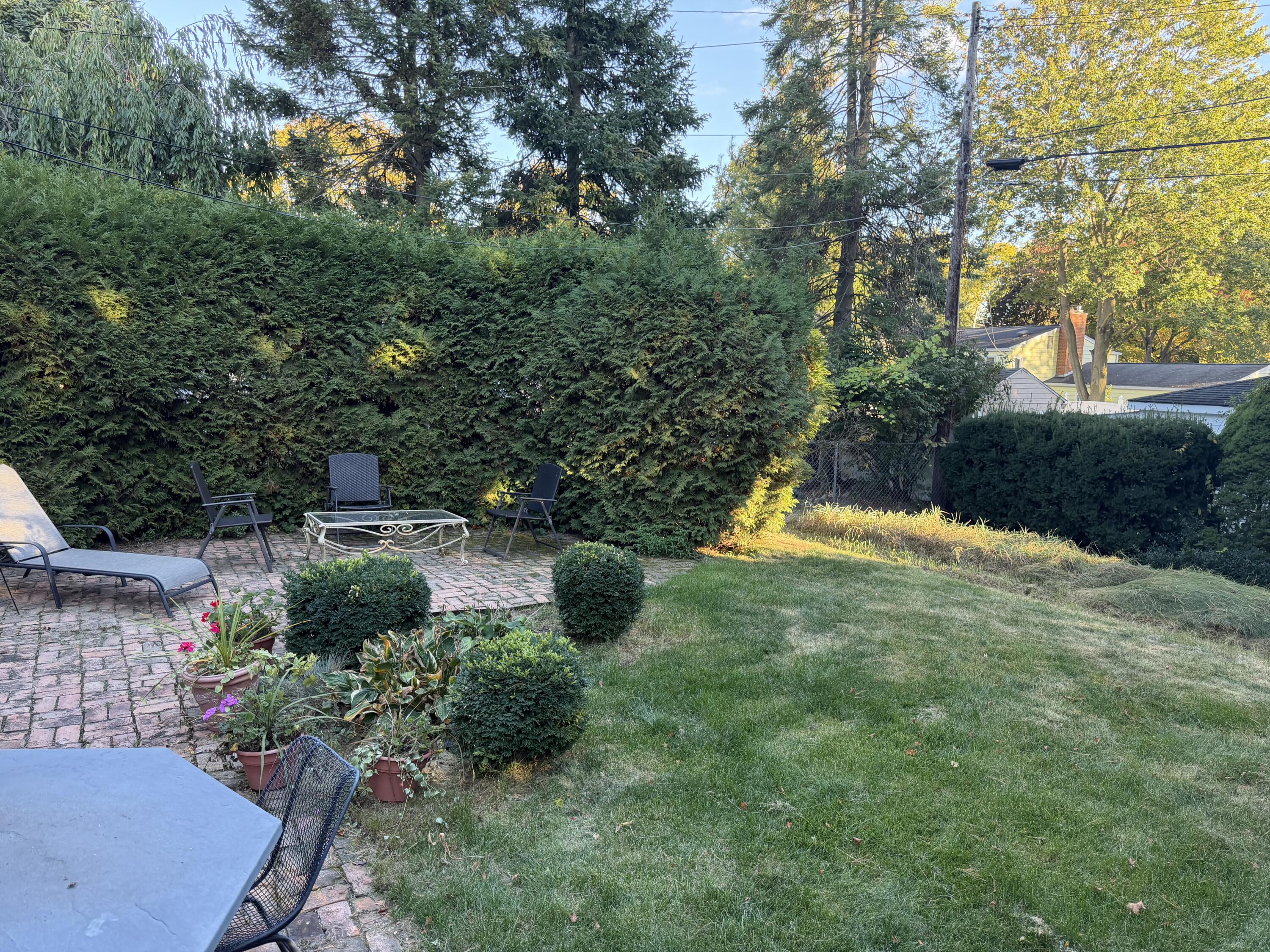 584 Reed Street Northville, MI 48167 - Photo 35 of 37 IMG_3977