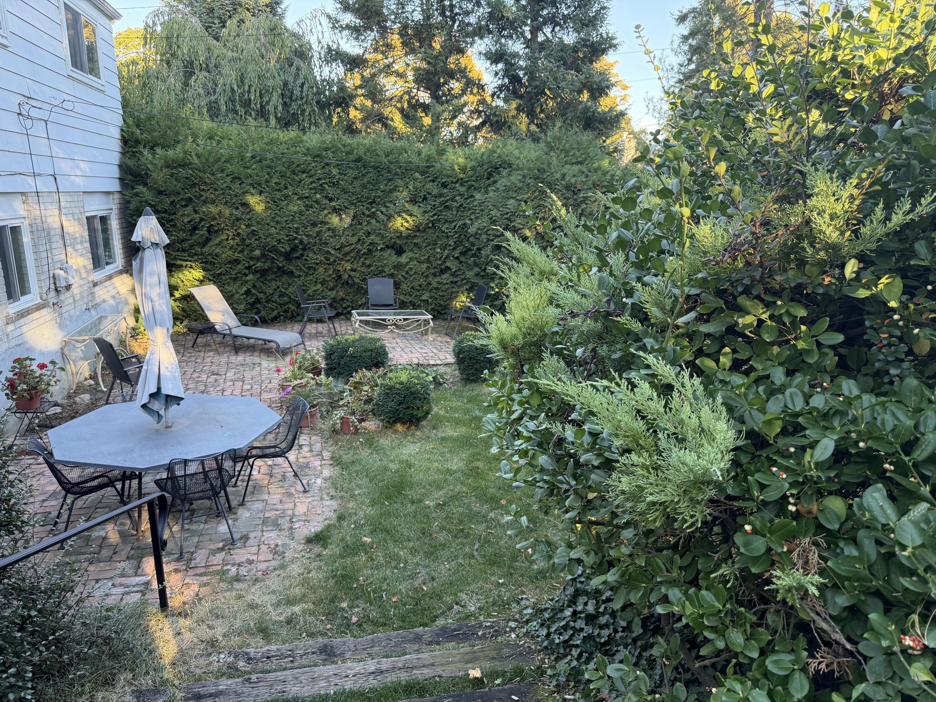 584 Reed Street Northville, MI 48167 - Photo 37 of 37 IMG_3976