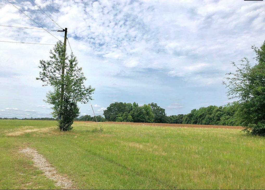 2971 Spur Branch Road Williston, SC 29853 - Photo 11 of 11 11