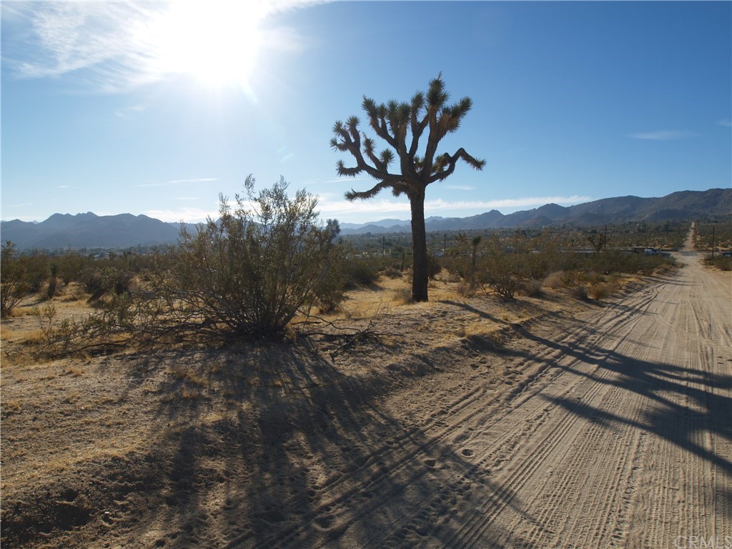 123 Juniper Road Joshua Tree, CA 92252 - Photo 1 of 1 Gallery Image 1