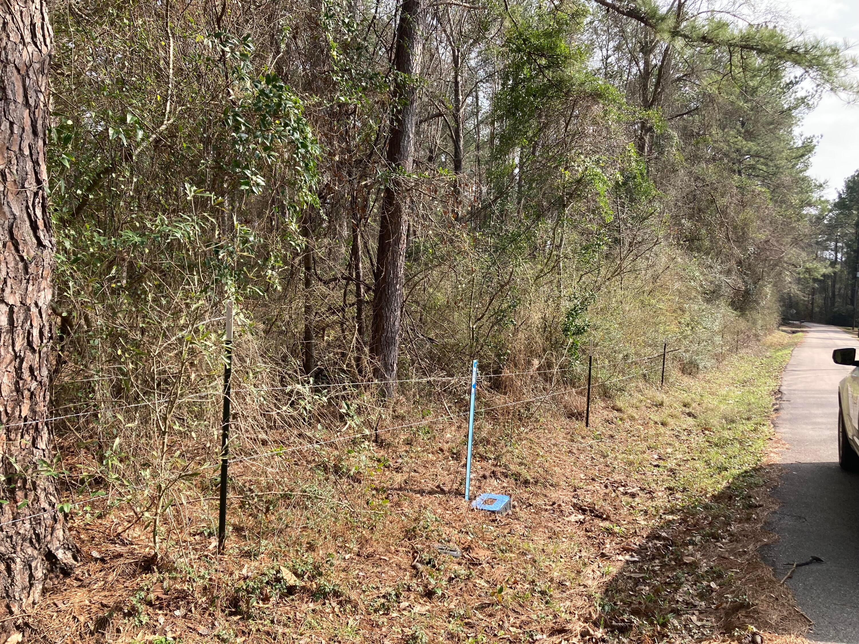 0 Gussy Nobles Road Sumrall, MS 39482 - Photo 1 of 1 IMG_3452