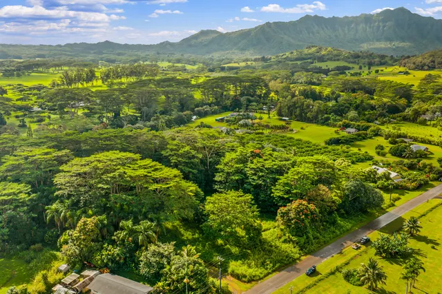 a view of an aerial view of residential houses with outdoor space and mountain view