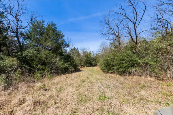 a view of a dry yard with trees