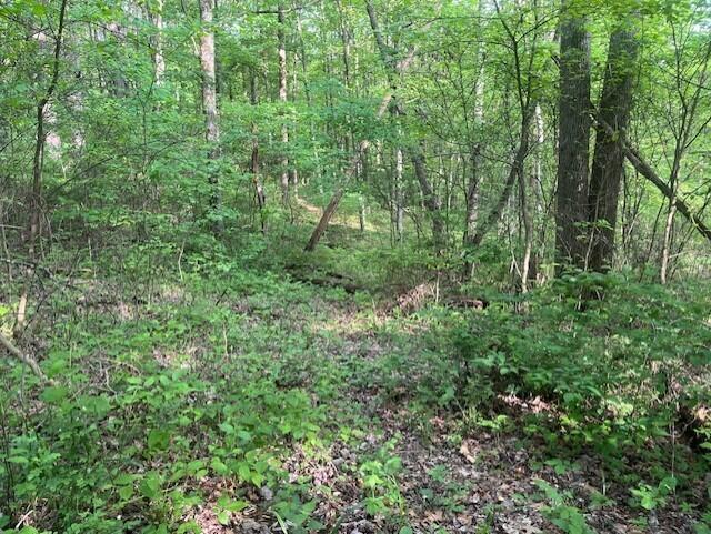 0 Gearing Ridge Road Londonderry, OH 45647 - Photo 20 of 29 thumbnail_IMG_7629