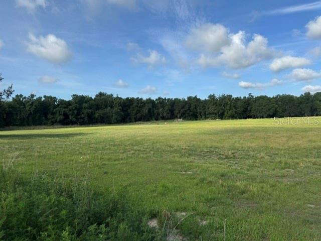 701 Brook Road North Fort Meade, FL 33841 - Photo 1 of 3