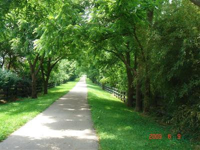 2104 Allegheny Way Lexington, KY 40513 - Photo 8 of 8 Walking trail that backs to the property