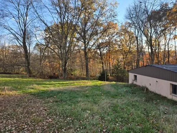 a big yard with lots of green space and trees
